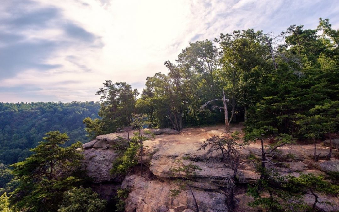 Pinnacles named #1 hike in Kentucky