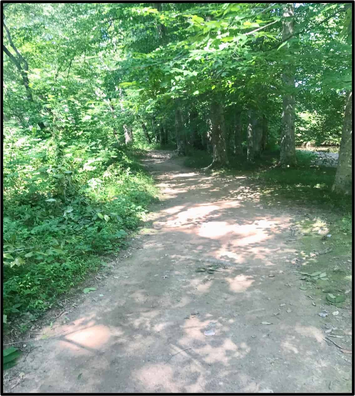 Path through Wooded Area - Original Boone Trace