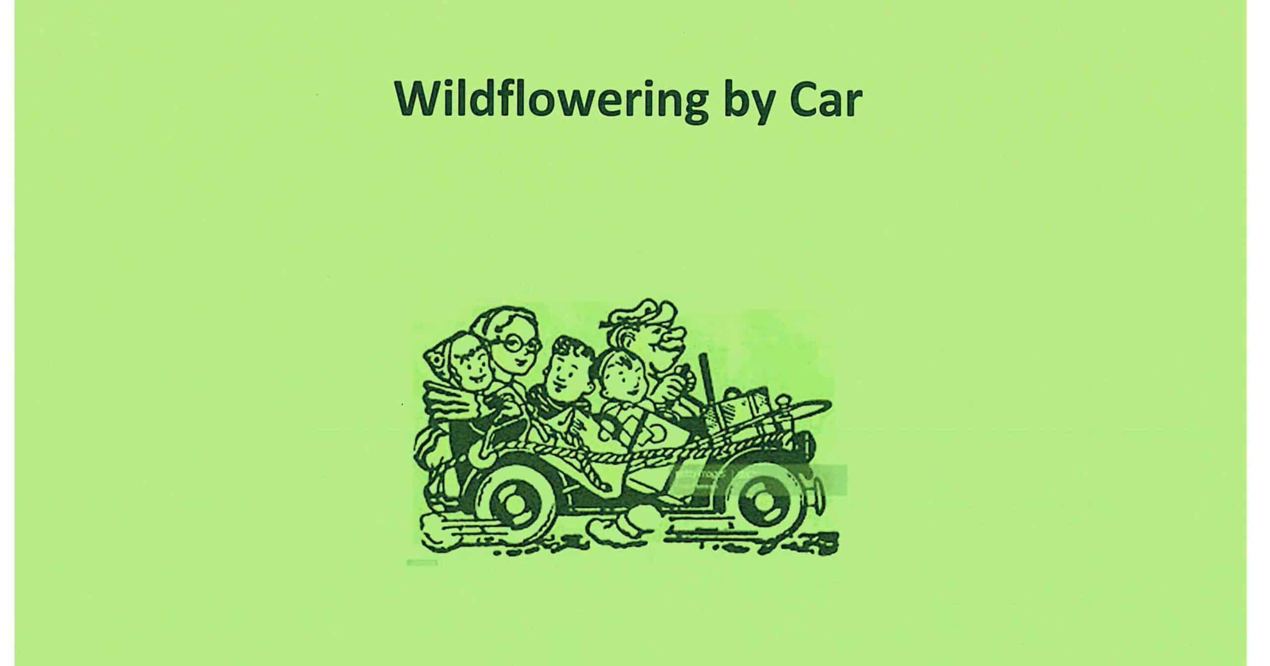 Wildflowering by Car words on green background with a picture of a car with 5 passengers