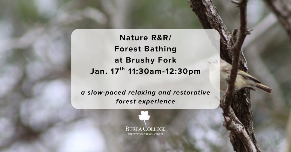 Brushy Fork R&R